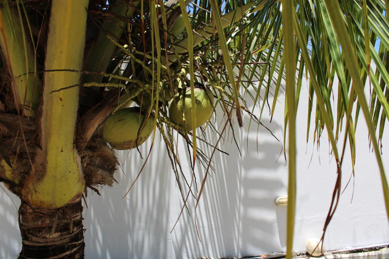 Beachhouse In Barra do Sirinhaém מראה חיצוני תמונה